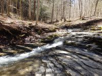PIXLEY FALLS ONEIDA NY 4-19-2015_00021.JPG