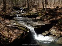 PIXLEY FALLS ONEIDA NY 4-19-2015_00033.JPG