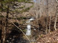 PIXLEY FALLS ONEIDA NY 4-19-2015_00071.JPG