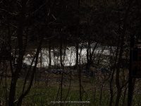 NINEMILE CREEK 3 ONONADAGA NY 4-29-2015_00001.JPG