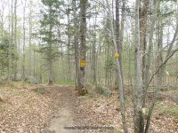 AUGAR TRAIL AND PARKING 5-10-2015_00003.JPG