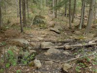 AUGAR TRAIL AND PARKING 5-10-2015_00005.JPG