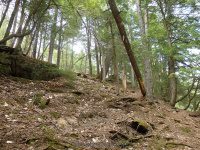 AUGAR TRAIL AND PARKING 5-10-2015_00006.JPG
