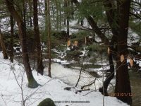 FALLS ON NORTH GAGE ROAD HERKIMER COUNTY CENTRAL NEW YORK 1-13-2013_00005.JPG