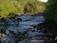 SVT MUSHROOM LEDGES III 5-23-2015_00012.JPG