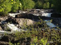 SVT TANNERY LEDGES IV 5-23-2015_00007.JPG