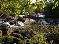 SVT TANNERY LEDGES IV 5-23-2015_00009.JPG
