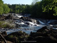 SVT TANNERY LEDGES IV 5-23-2015_00012.JPG