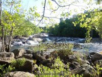 SVT TANNERY LEDGES IV 5-23-2015_00014.JPG