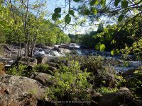 SVT TANNERY LEDGES IV 5-23-2015_00015.JPG