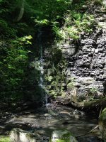 MILL CREEK falls GOMER HILL ROAD 6-7-2015_00006.JPG