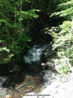 MILL CREEK falls GOMER HILL ROAD 6-7-2015_00007.JPG