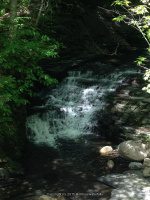 MILL CREEK falls GOMER HILL ROAD 6-7-2015_00008.JPG