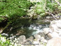 MILL CREEK falls GOMER HILL ROAD 6-7-2015_00011.JPG