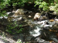MILL CREEK falls GOMER HILL ROAD 6-7-2015_00017.JPG