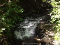 MILL CREEK falls GOMER HILL ROAD 6-7-2015_00018.JPG