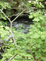 MILL CREEK falls GOMER HILL ROAD 6-7-2015_00025.JPG