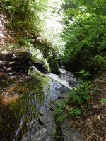WHETSTONE 2ND SECTION 6-7-2015_00008.JPG