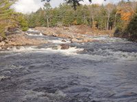 Powerline III Rapids Moose 10-17-2015_00003.JPG