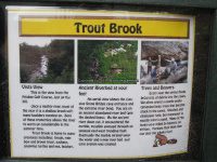 NATURAL STONE BRIDGE AND CAVES WARREN COUNTY NORTHERN NEW YORK 7-20-2008_00007.JPG