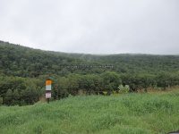 Tributary to Panther Creek (falls on) Schoharie NY 8-22-2014_00002.JPG