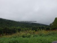 Tributary to Panther Creek (falls on) Schoharie NY 8-22-2014_00003.JPG