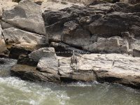 Great Falls State Park MD 7-9-2014 1_00018.JPG