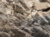 Great Falls State Park MD 7-9-2014 2_00011.JPG