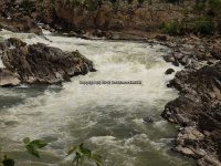 Great Falls State Park MD 7-9-2014 2_00013.JPG