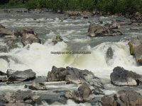 Great Falls State Park MD 7-9-2014 2_00017.JPG