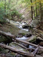 Roaring Run 1st Bridge to 2nd Bridge_00011.JPG