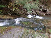 Roaring Run 1st Bridge to 2nd Bridge_00014.JPG