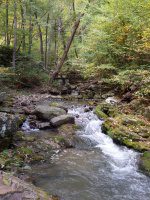 Roaring Run 1st Bridge to 2nd Bridge_00016.JPG
