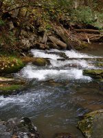 Roaring Run 2nd Bridge to Roaring Run Falls_00001.JPG