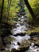 Roaring Run 2nd Bridge to Roaring Run Falls_00003.JPG