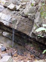 Roaring Run 2nd Bridge to Roaring Run Falls_00005.JPG