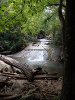 Roaring Run 2nd Bridge to Roaring Run Falls_00006.JPG