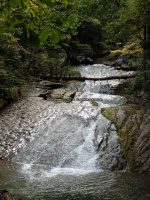 Roaring Run 2nd Bridge to Roaring Run Falls_00007.JPG