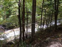 Roaring Run 2nd Bridge to Roaring Run Falls_00010.JPG