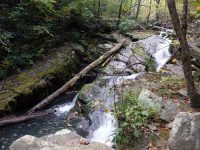 Roaring Run 2nd Bridge to Roaring Run Falls_00013.JPG