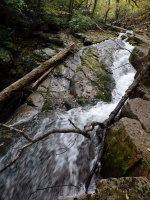 Roaring Run 2nd Bridge to Roaring Run Falls_00014.JPG