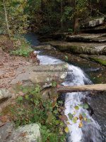 Roaring Run 2nd Bridge to Roaring Run Falls_00015.JPG