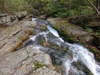 Roaring Run Falls_00003.JPG