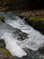 Roaring Run Falls_00017.JPG