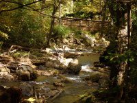 Roaring Run to 1st Bridge_00005.JPG