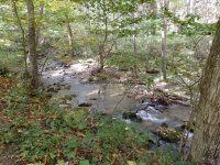 Roaring Run to 1st Bridge_00006.JPG