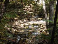 Roaring Run to 1st Bridge_00007.JPG