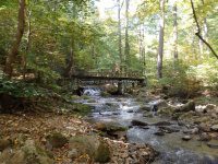 Roaring Run to 1st Bridge_00008.JPG