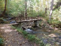 Roaring Run to 1st Bridge_00010.JPG