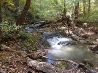 Roaring Run to 1st Bridge_00011.JPG